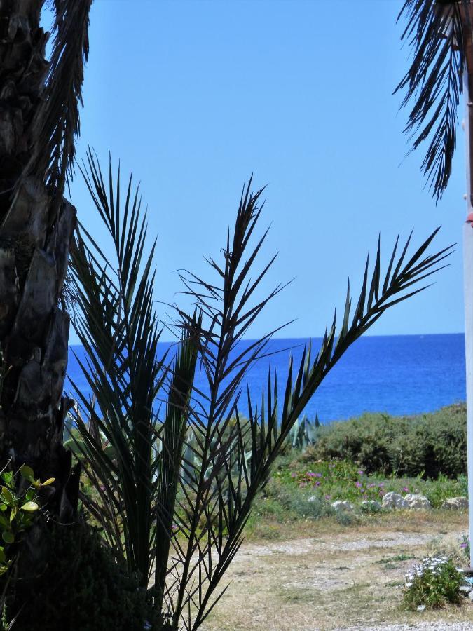 Manderley-Case Sul Mare ซานตาคาเตรินา ภายนอก รูปภาพ